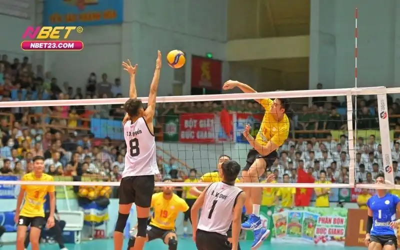 Cá Cược Bóng Chuyền: Hướng Dẫn Toàn Diện Cho Người Chơi 2 Cá Cược Bóng Chuyền: Hướng Dẫn Toàn Diện Cho Người Chơi