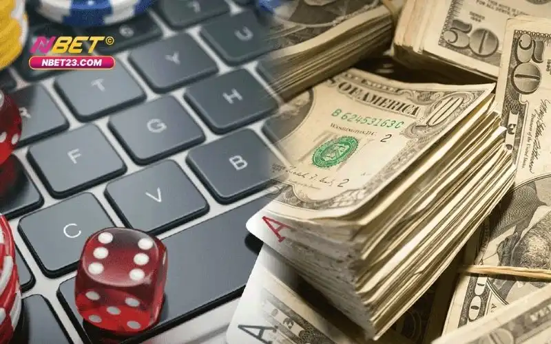 Quyền Và Nghĩa Vụ Của Người Chơi Tại Nbet